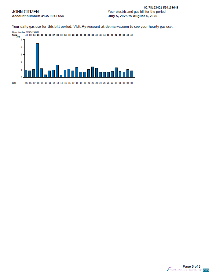 download USA Delmarva Power utility bill template in Word and PDF formats, 5 pages, 5th page PDF template